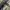 Y2k hip hop baggy jeans sean john art photo 4