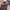Timberland grey boots photo 7