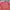 kaos panjang pria UNIQLO long sleeve polos merah bata murah  photo 2