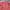 Kaos Panjang Pria UNIQLO Long Sleeve Polos Merah Bata Murah 
