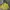 Jacket Outdoor Running/Hiking Black Yak photo 8