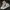 Converse Chuck Taylor 128289c photo 1