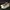 Converse Chuck Taylor 128289c