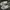 Vans Eco Theory Authentic SF checkerboard photo 2