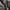 STUDIO RUE Grey Pants photo 2