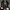 Converse Chuck 70 High 'Digital Daze - Snakeskin' 570264C photo 7
