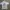 T-shirt Borat Very nice Second photo 1