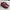 Dr. Martens Vintage Casual Brogue Pria Red