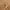 Berne Vintage Streetwear Denim jacket Pria tan photo 3
