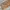 Berne Vintage Streetwear Denim jacket Pria tan photo 8