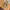 Berne Vintage Streetwear Denim jacket Pria tan photo 5