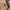 Berne Vintage Streetwear Denim jacket Pria tan photo 4