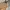 Berne Vintage Streetwear Denim Jacket Pria Tan