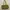 (Minor Defect) Olive Green Bag photo 5