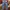 Y2k Juvenile Delinquent Sukajan Japanese Loose Jeans photo 3