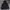Jacket Dickies Ecwcs