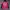 Tnf Hyvent Gorpcore photo 2