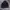 Tnf Hyvent Gorpcore photo 3