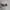 [ NETT ] Vintage Retro Animal Print Sunglasses photo 4