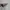[ NETT ] Vintage Retro Animal Print Sunglasses photo 5
