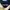 Halfbutton/kancing Indian Blue (navy) photo 2