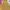 Dress kuning  photo 1