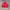 Streetwear Vintage Windbreaker Pria red photo 5