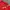 Streetwear Vintage Windbreaker Pria red photo 8