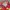 Streetwear Vintage Windbreaker Pria red photo 3