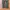 Uniqlo Mountain Outdoor Cargo Pants