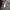 TRACKTOP ADIDAS COMATS SPORT photo 6