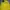 Tracktop Puma Kuning photo 1