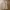 Zar a cargopants parachute nylon photo 1