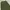 GU Super Wide Cargo Pants photo 6