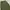 GU Super Wide Cargo Pants photo 5