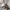 Burberrys Novacheck Casual Parka Jacket photo 8