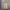 Burberrys Novacheck Casual Parka Jacket photo 2
