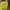 This is April Green Midi Dress photo 3