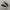 Converse One Star OX Suede Black White Original photo 1
