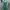 Dress tosca free belt photo 1