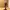 Sanji One Piece Vinsmoke Black leg action figure photo 1