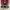 Chuffed Skates Wanderer - Burgundy | Roller Skate photo 3