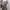 Arnold Palmer Casual Y2K Shirt Wanita gray photo 3