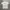 Champion Logo Tshirt photo 1