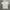 Champion Logo Tshirt