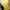 Y2K Emo T-shirt Wanita yellow photo 3