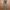 Bershka jegging size 26 photo 1