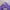 Colza Streetwear Y2K T-shirt Wanita purple photo 4