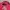Y2K T-shirt Wanita pink photo 4