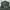 ROMPI MILITARY MA1 photo 2